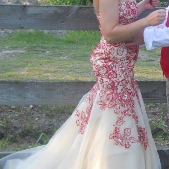 Prom/Pageant/Formal Dress - Picture 6 of 6